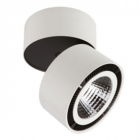 Forte 381393 Светильник накладной заливающего света со встроенными светодиодами